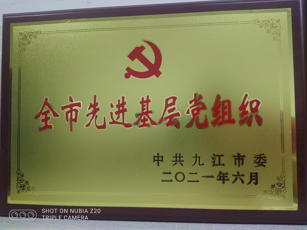 2021年全市先進基層黨組織