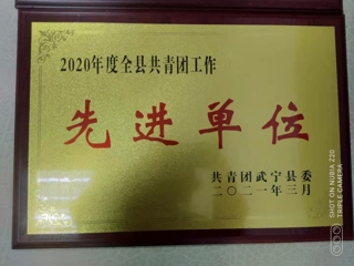 2020年全縣共青團工作先進單位 ?