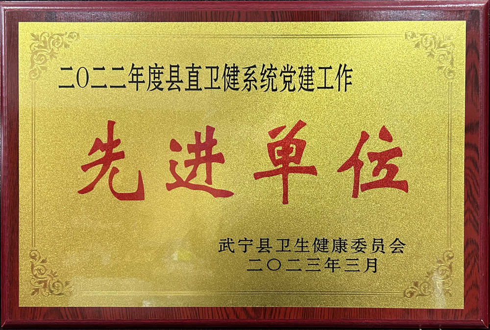2022年度縣直衛(wèi)健系統(tǒng)黨建工作先進(jìn)單位