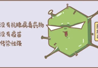 【健康科普】武寧縣總醫(yī)院人民醫(yī)院院區(qū)兒科提醒您：近期腺病毒感染激增！這些要點(diǎn)家長(zhǎng)要了解！