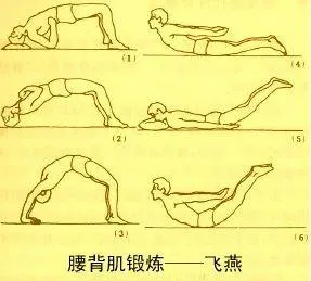 8479762cf5634f32b2c2a81e663a5192.png
