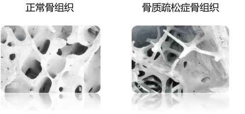 dca65ba2944746f99b62e58fdb158efb.png
